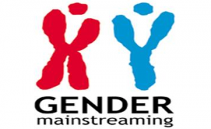 gender mainstreaming